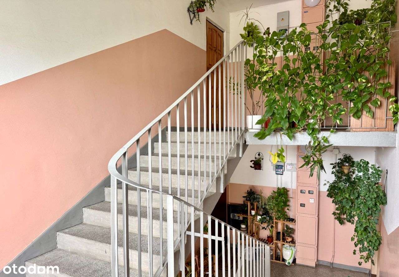 Mieszkanie na Gaju - możliwość wydzielenia 3 pok.-1