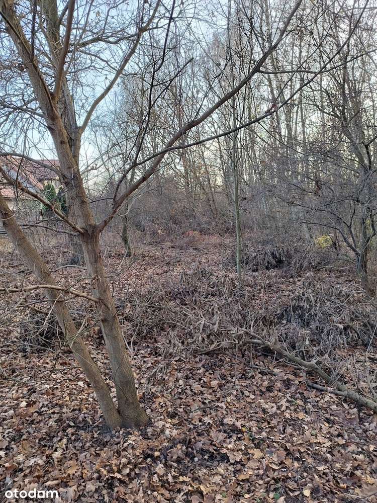 Działka budowlana Brwinów- zabudowa bliźniacza - Pełny obrazek: 4/11