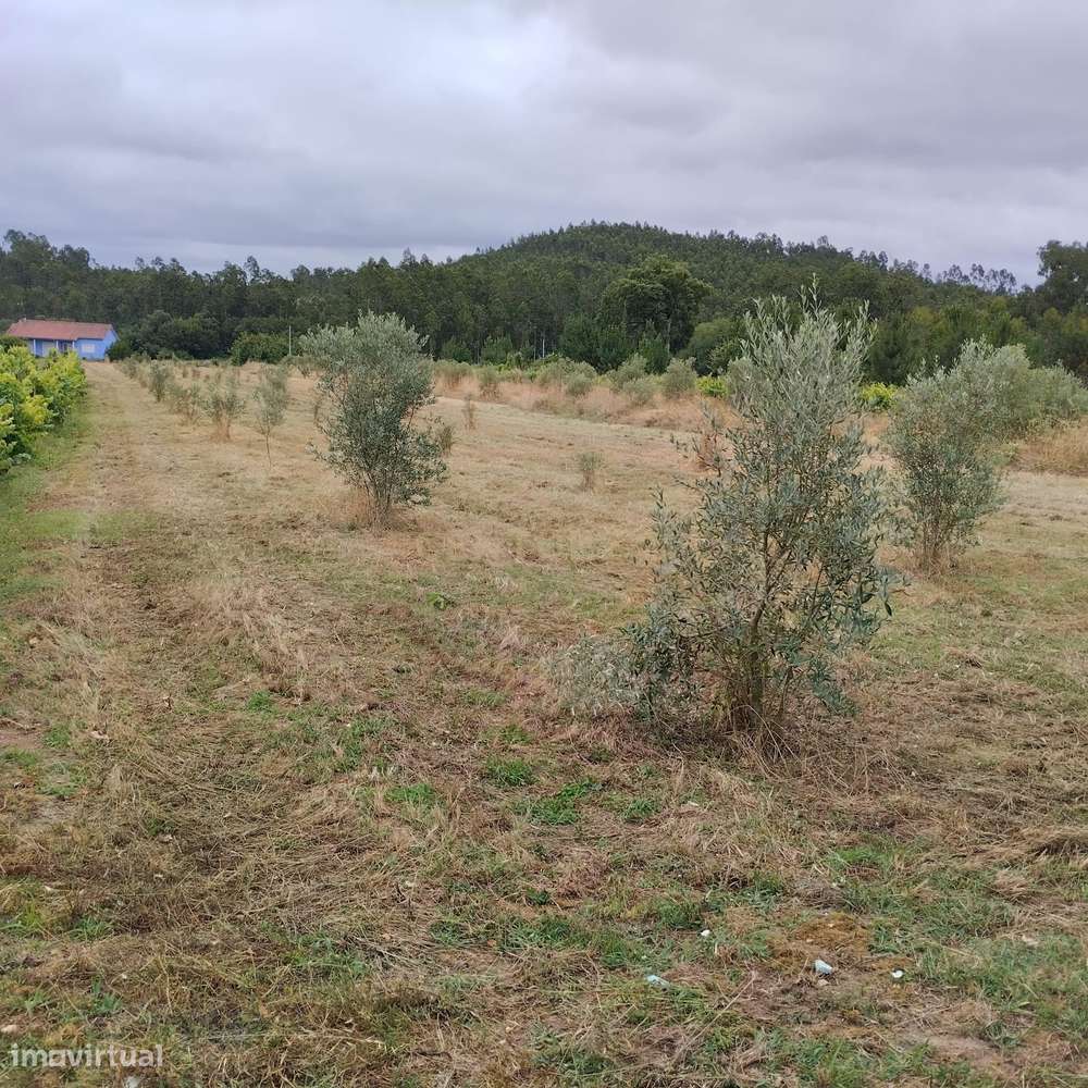 Terreno em Netos, Almagreira, Pombal, - Grande imagem: 3/19