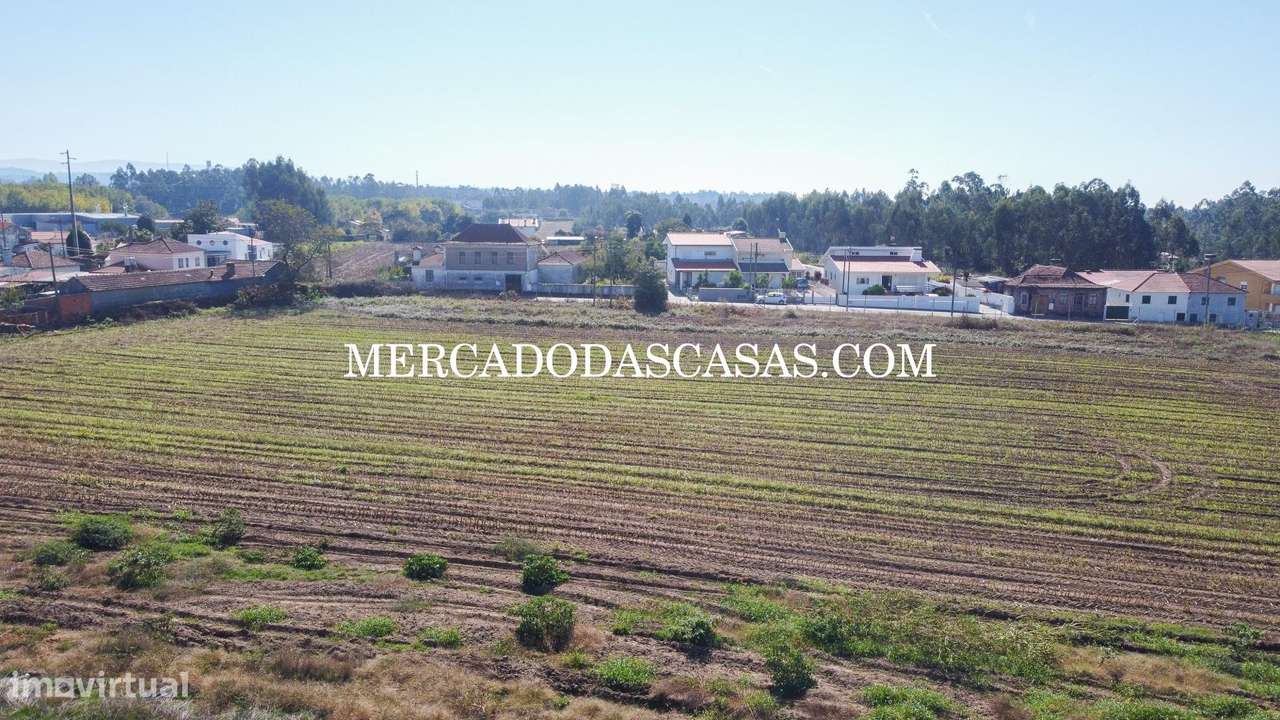 Terreno c/ 16,560m2 - São Miguel de Souto-9