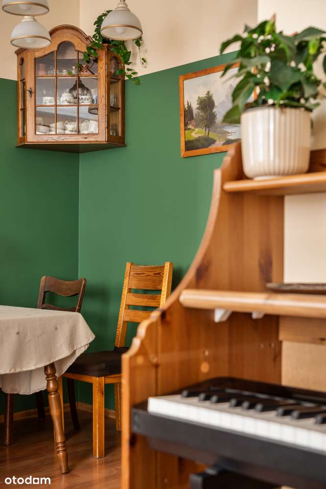 REZERWACJA 44 m²/dwa pokoje/centrum/do wprowadzenia-3