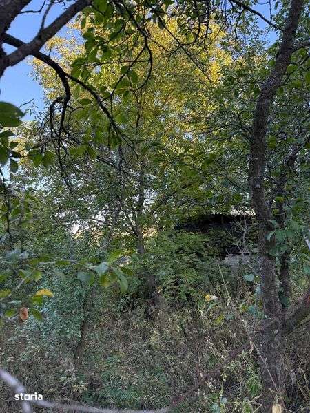 Vand casa 70mp Racoasa, inclusiv teren 2200mp, judetul Vrancea - Imagine principală: 5/7