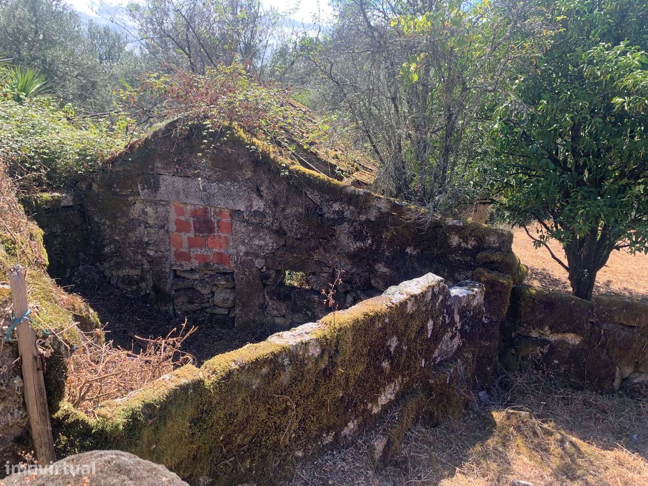 Terreno de 700m2 c/ Ruina - Grande imagem: 5/54