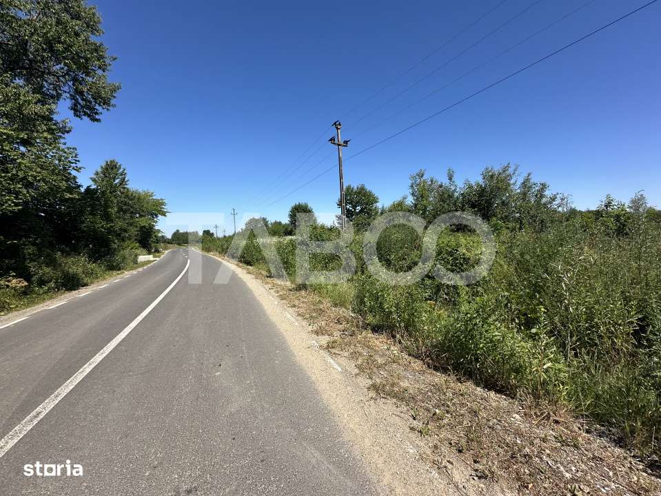 Comision 0% Teren intravilan cu utilitati 2200 mp pe Valea Sebesului - Imagine principală: 4/4