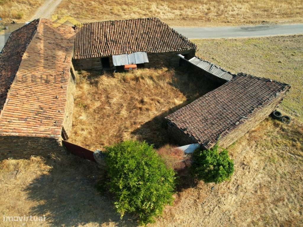 Quinta com Muito Potencial - Sarzedas, Castelo Branco - Grande imagem: 4/23