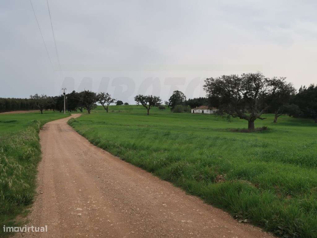 Quinta em excelente localização-32