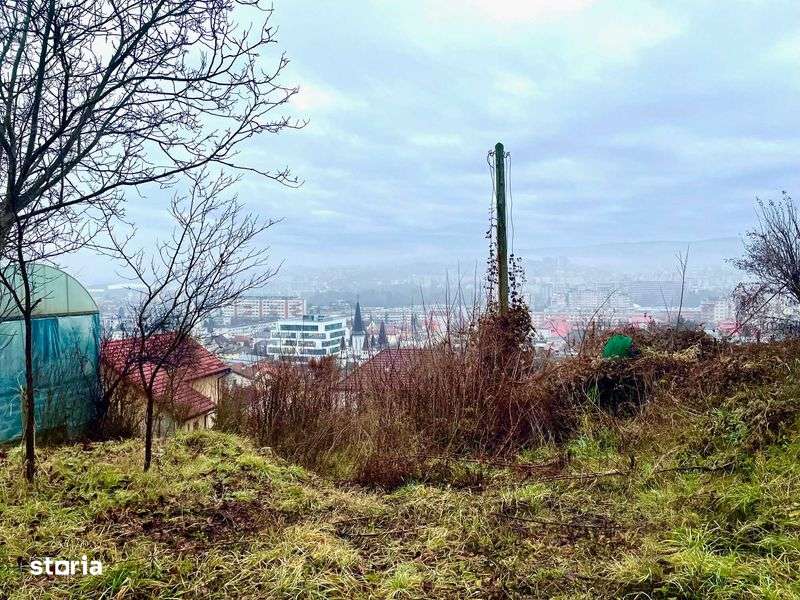 Vindem teren cu PUZ aprobat, strada Uliului nr 48A, 300 euro/mp - Imagine principală: 4/6