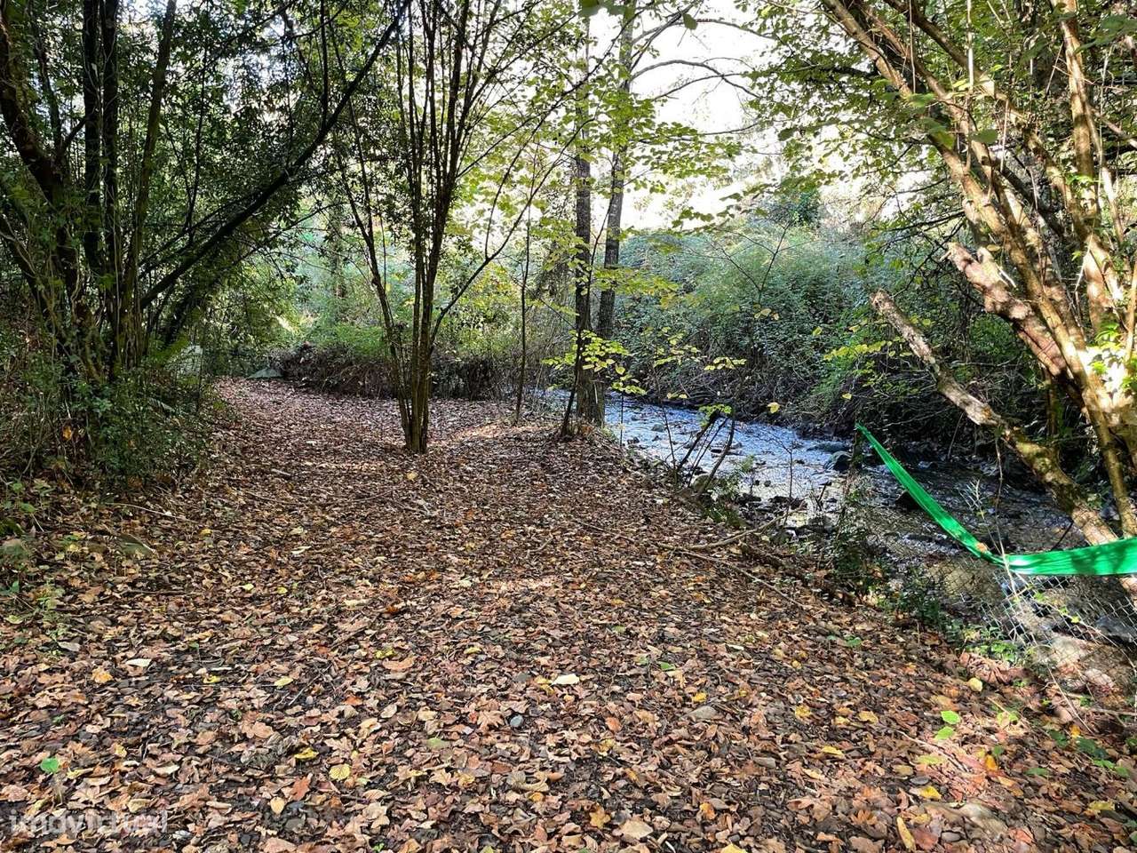 Quinta com casa para recuperar junto a ribeiro-15