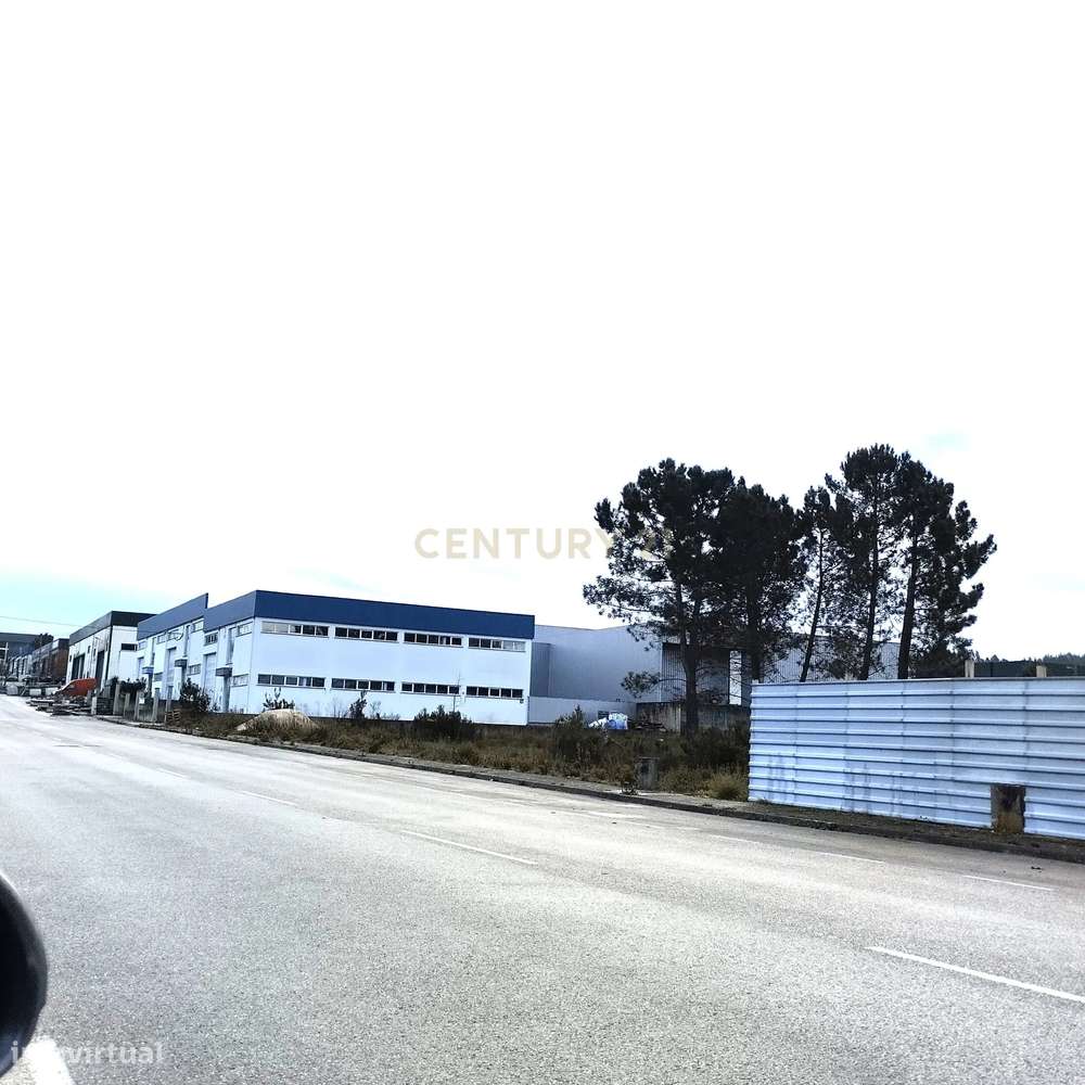 Lote Para Armazém - Grande imagem: 2/8