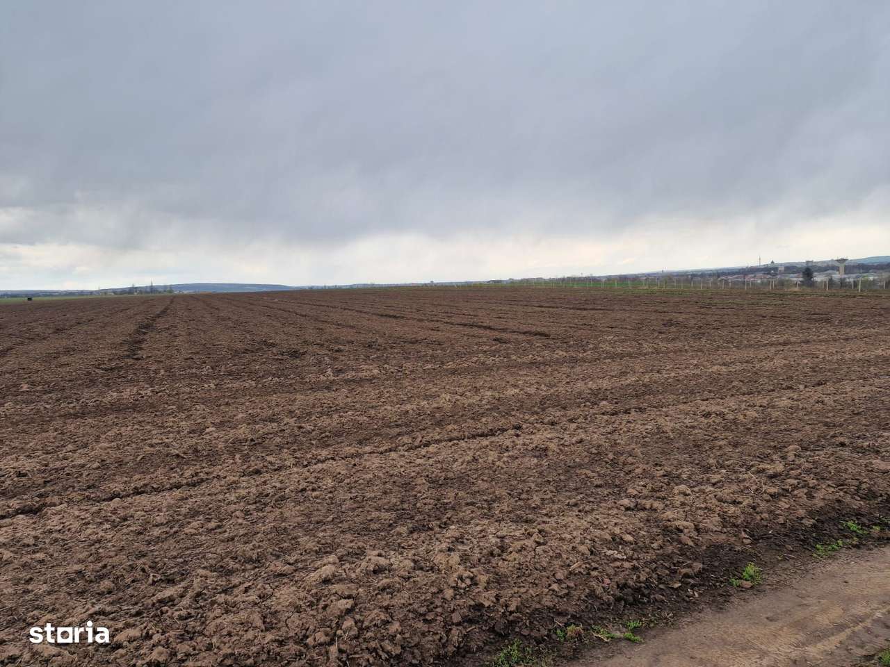 Teren 10,000mp Bacau / Strada Alexandru Safran-3