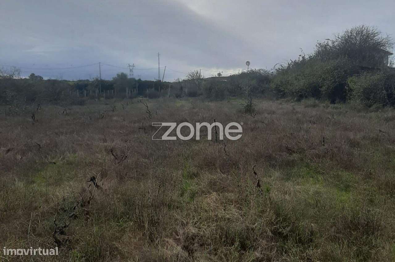 Terreno Rustico em Poceirão - Grande imagem: 5/9