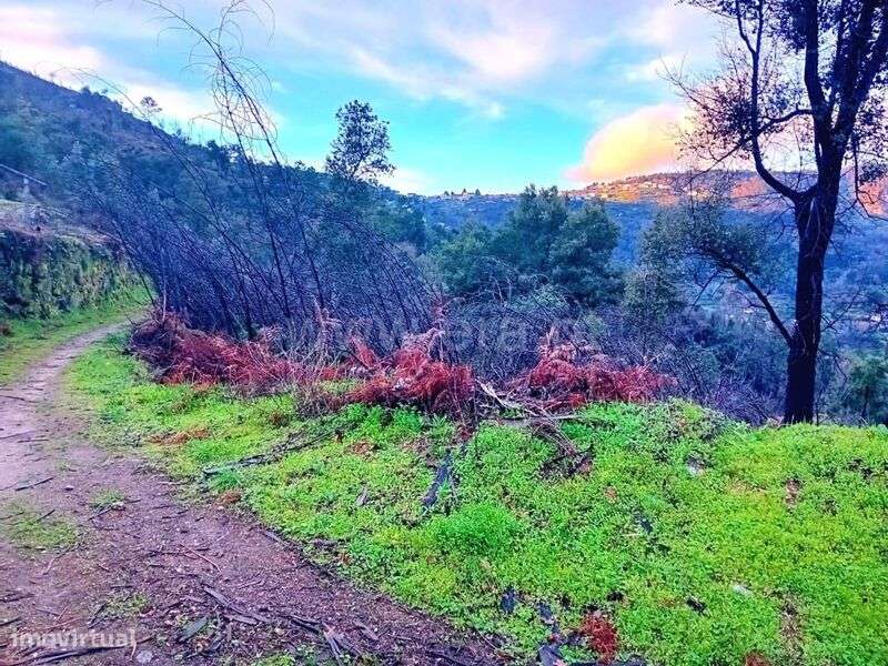 Terreno Rústico / Baião, Ancede e Ribadouro - Grande imagem: 2/5