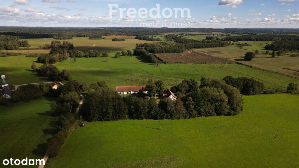 Posiadłość 500 m2,działka 7300 M2,Wydutki,gm.Budry - Pełny obrazek: 4/20