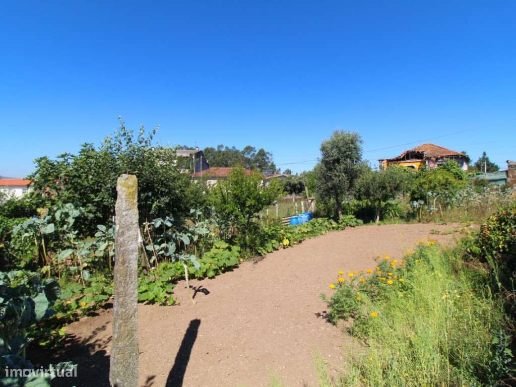 Vende-se moradia rústica em Ribeirão, próxima da N14-5