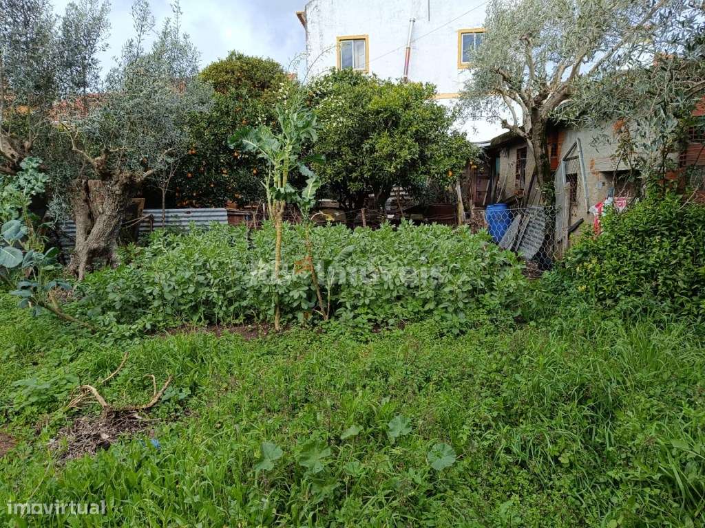 Terreno com 520 m2 com possibilidade de construção e vista para o rio. - Grande imagem: 5/6
