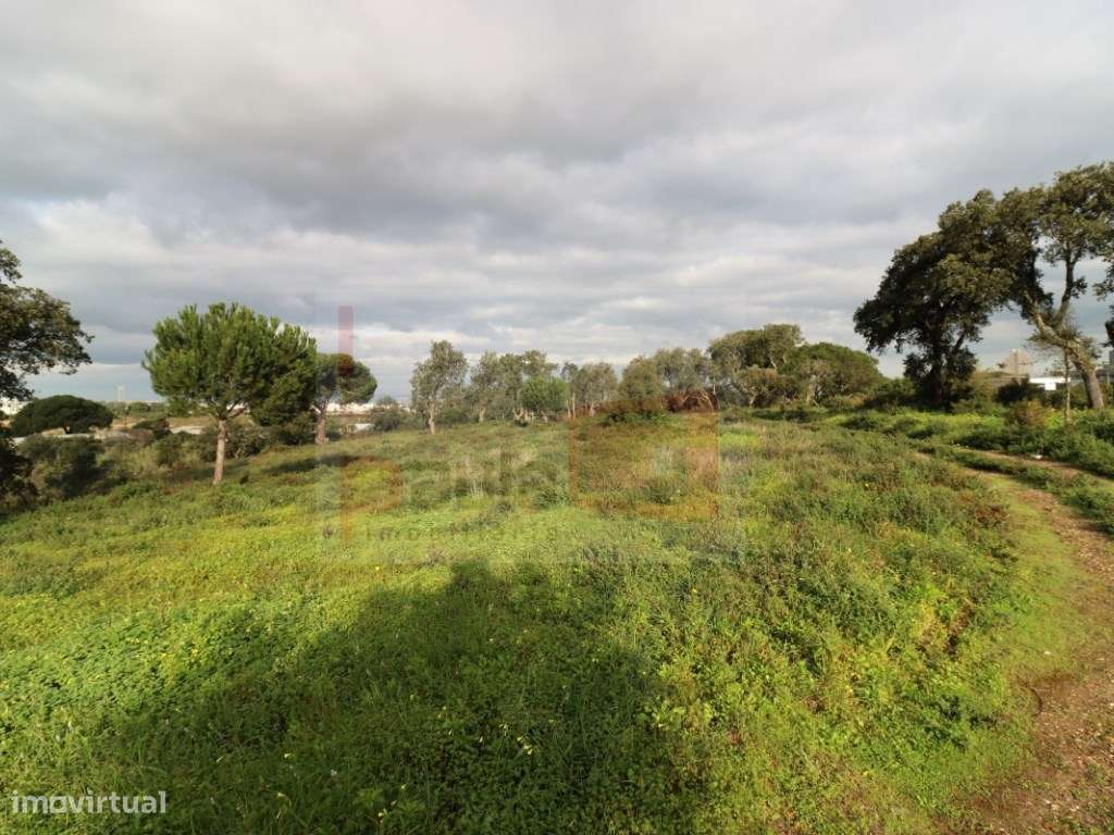 TERRENO COM 5.5HA ALCOCHETE - Grande imagem: 5/13