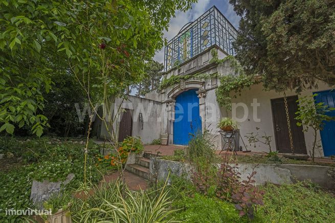 Quinta com área total de 5000m2;  Verdizela-3