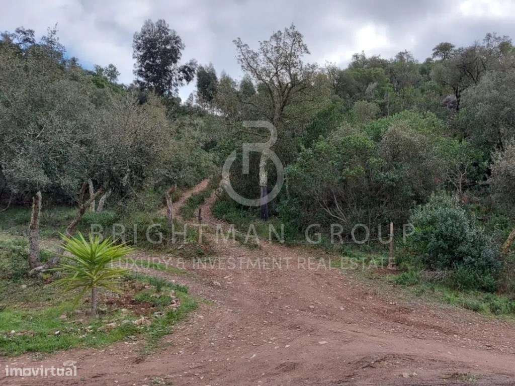 Terreno com potencial de construção em Aljezur - Grande imagem: 5/17