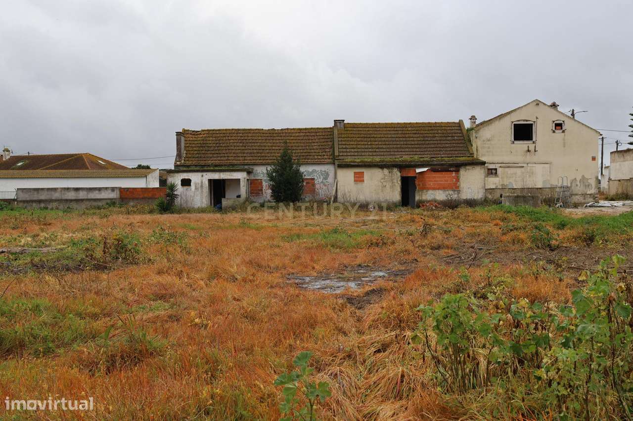 Alcochete, Estrada do Rego da Amoreira, Quinta c/ 1.250 m2 urbanos + 5 - Grande imagem: 4/25