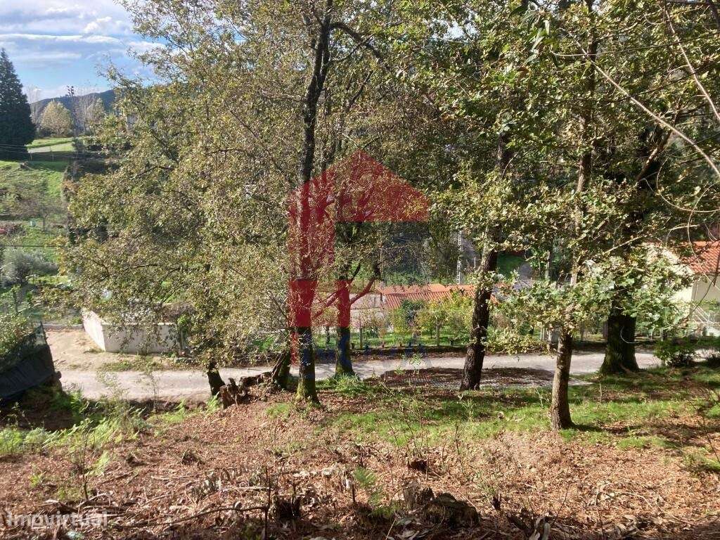 Terreno para construção, Valdreu - Grande imagem: 5/17