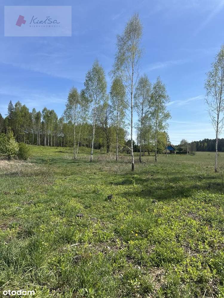 Pięknie położone działki - Rowek, gm. Szudziałowo-9