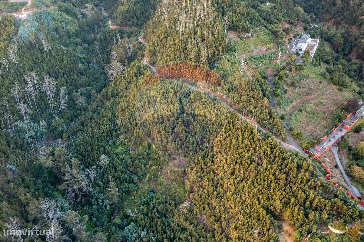 Terreno  para venda - Grande imagem: 5/9