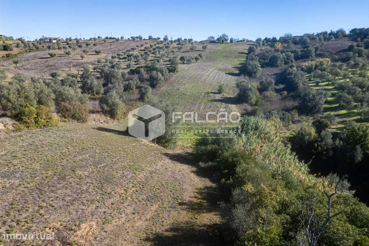 Terreno Para Construção  Venda em Moçarria,Santarém-4