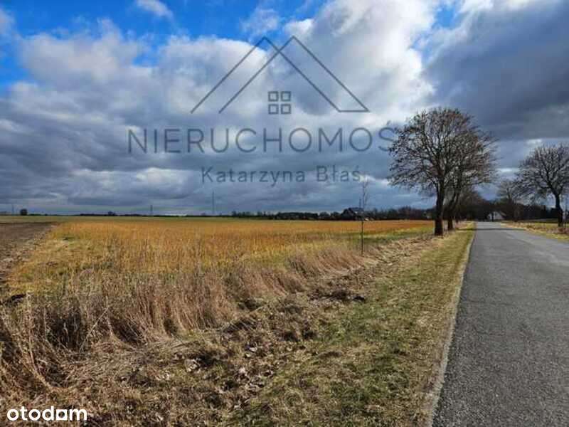 Działka budowlana w Białej-10