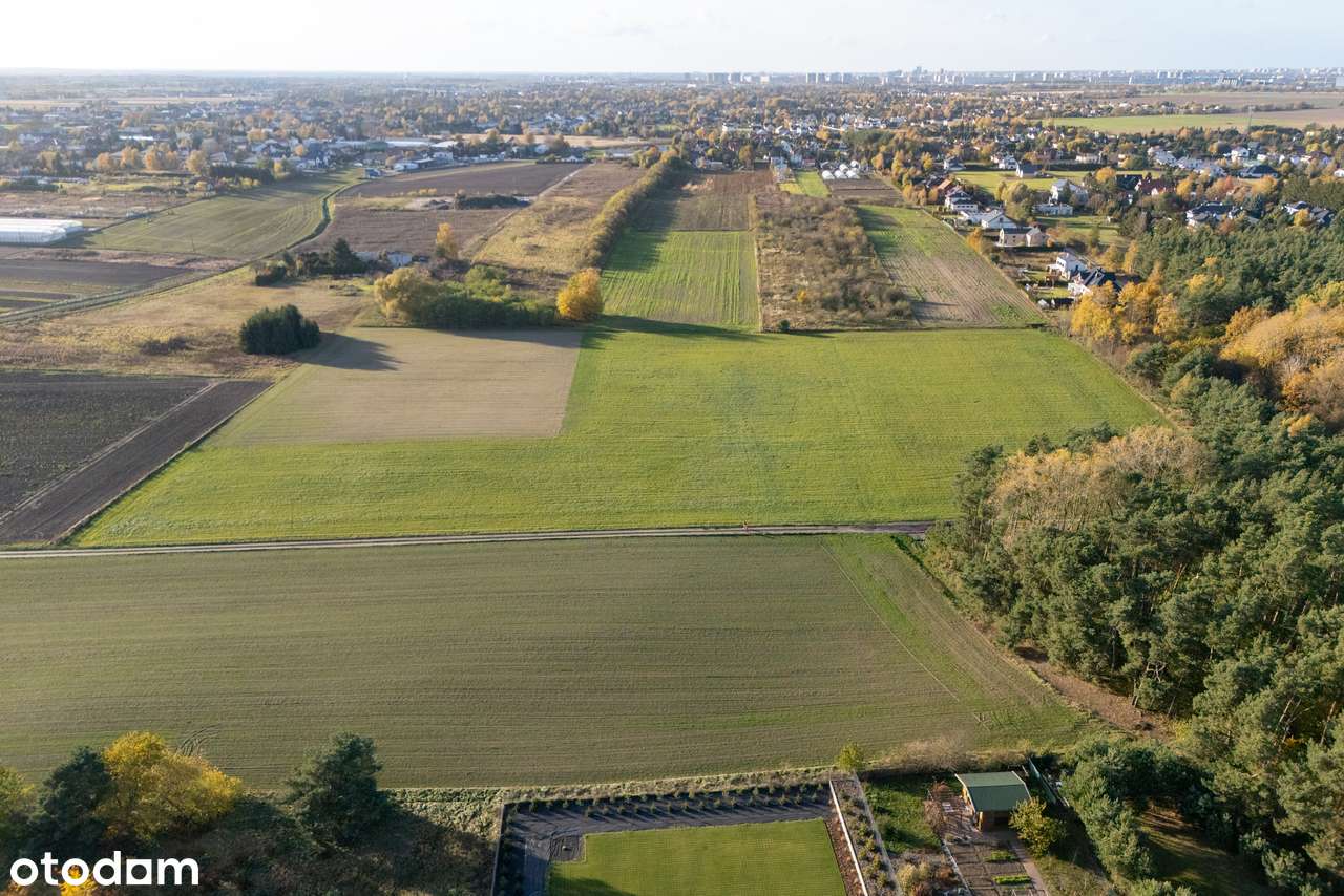 Działka 1665 m² – ul. Borecka, Poznań–Szczepankowo • WZ • przy lesie-4