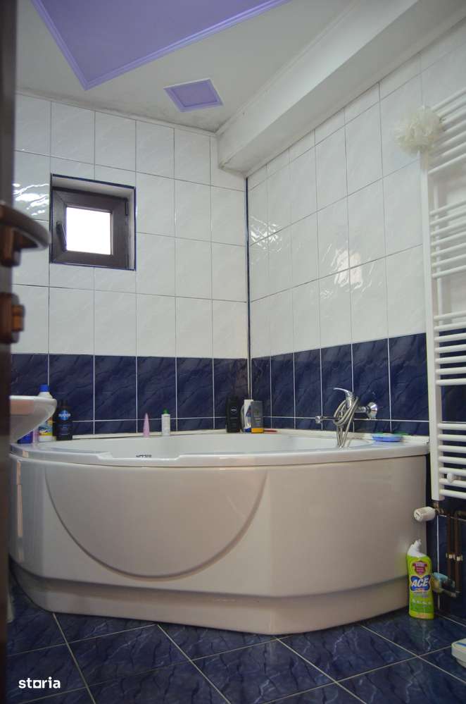 Casa de vacanta cu  7 camere-Busteni-9