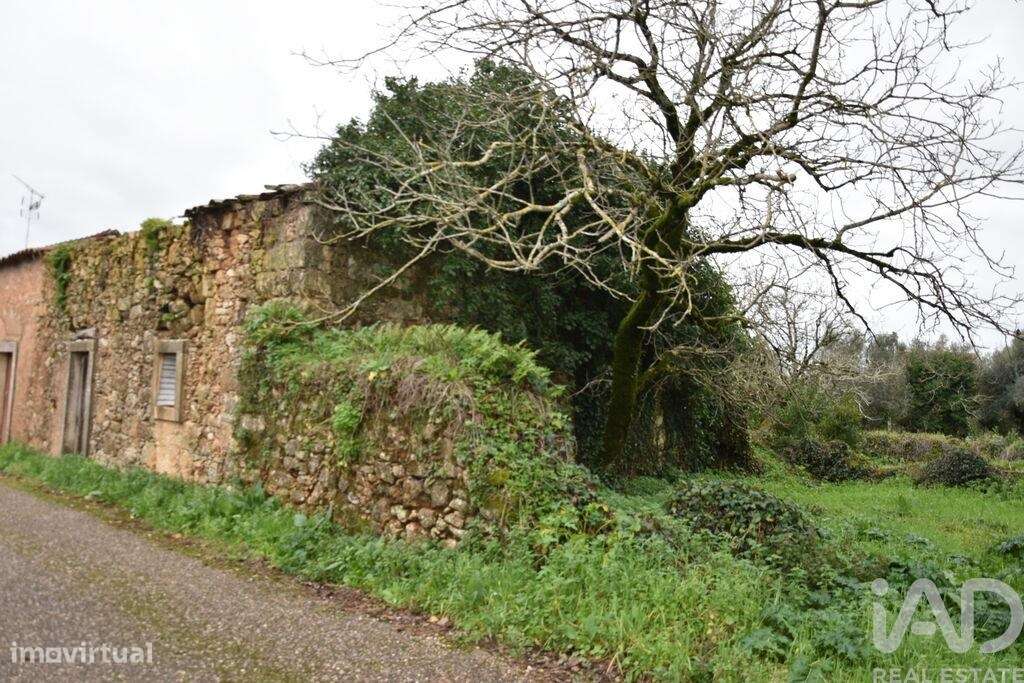 Casa / Villa T1 em Areias e Pias de 160,00 m2 - Grande imagem: 4/24