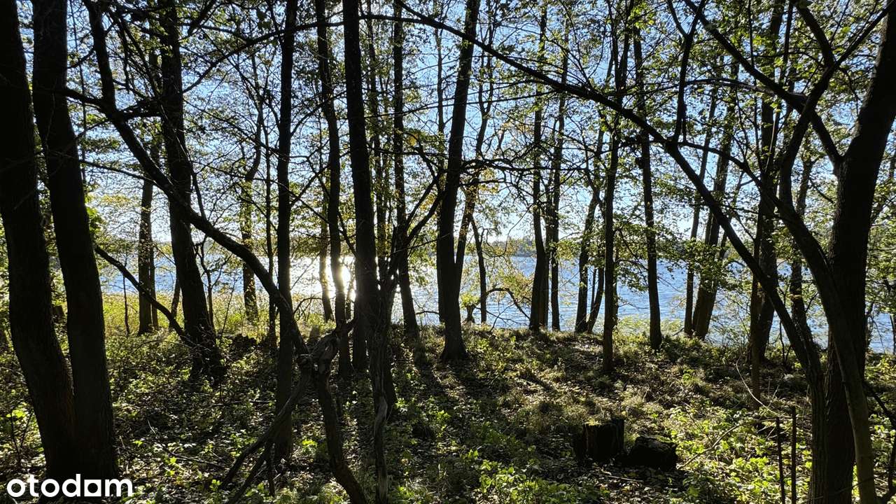 Działka z linią brzegową jeziora Dadaj - Pełny obrazek: 5/6
