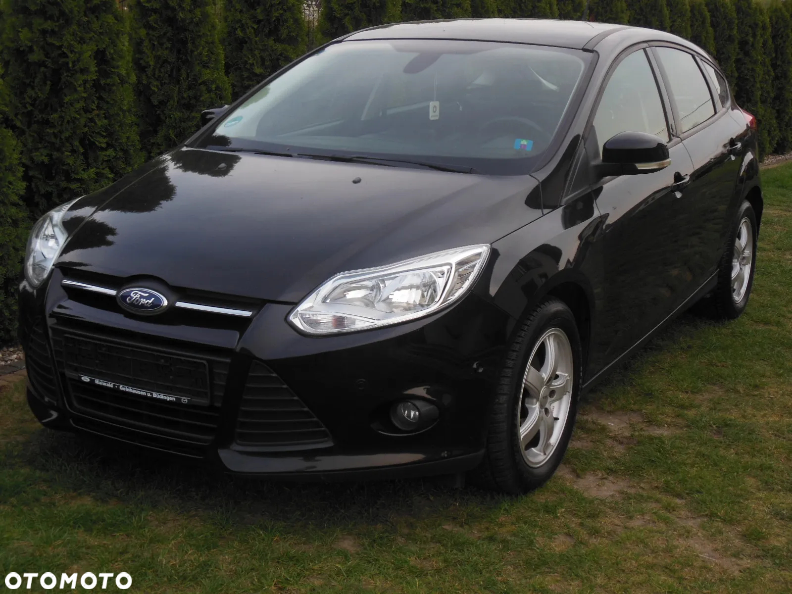 Ford Focus 1.0 EcoBoost Start-Stopp-System Champions Edition - 2