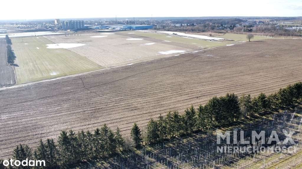 Rola - 7,83 ha - Trojanowo-6