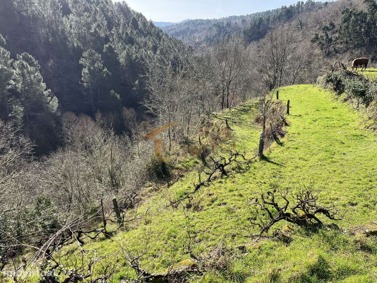 Quinta dos Ujos  - Quintelas-12