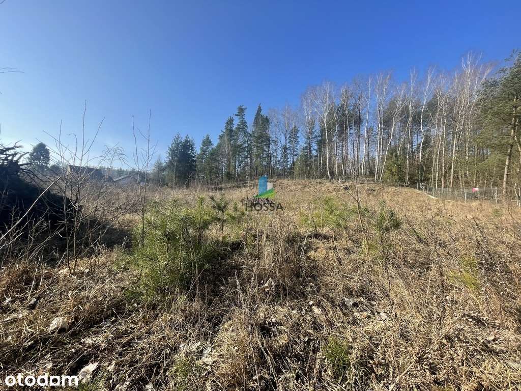 Działka z warunkami zabudowy w Więckowie - Pełny obrazek: 4/18