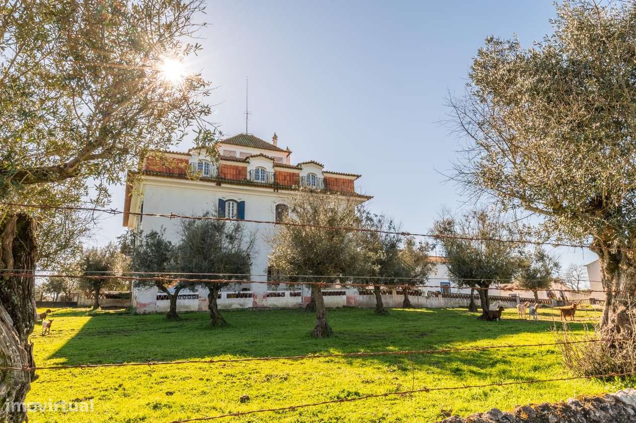 Quinta 5.7 ha, Évora - Grande imagem: 4/39