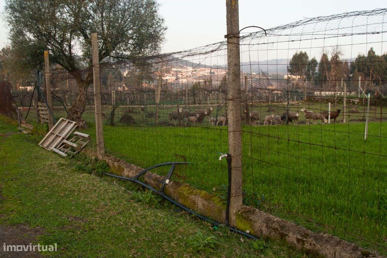 Terreno em Galegos Penafiel - Grande imagem: 5/6