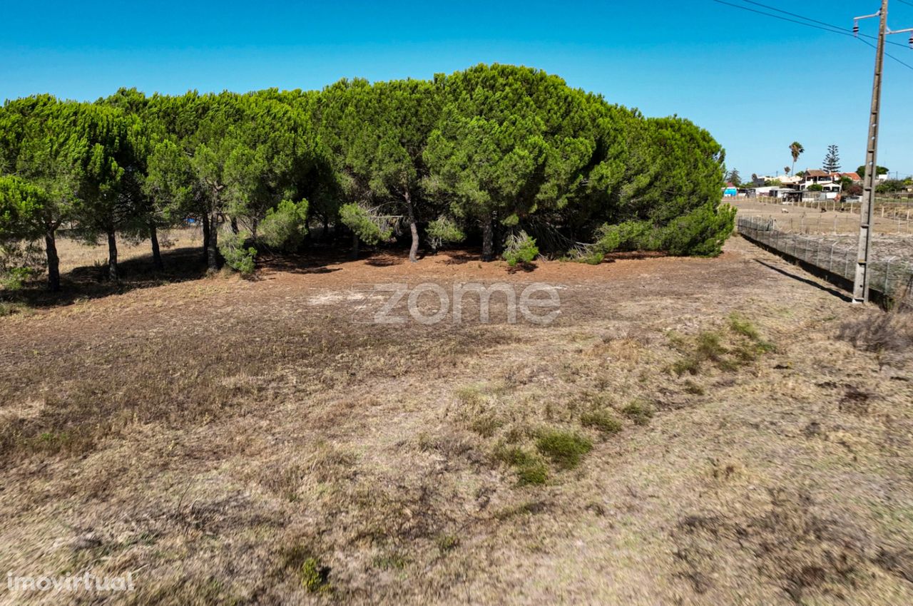 Terreno urbanizável - Lagoa da Palha