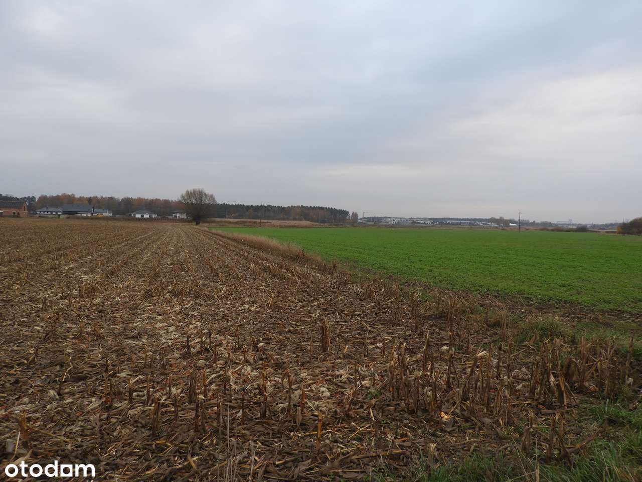 Działka 15 000 m² w Chojęcinie przy nowym osiedlu mieszkaniowym-12