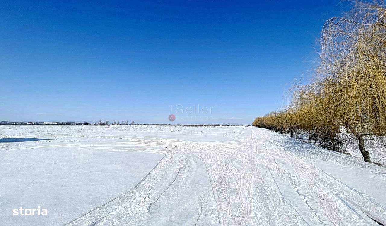 Teren rezidential 1.100mp str. Lanii - Imagine principală: 2/10