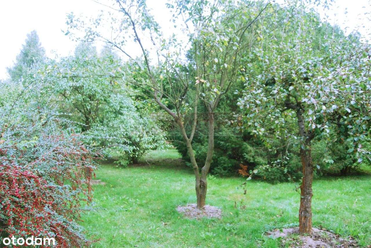 Atrakc. dom w willowej lokalizacji blisko Lublina - Pełny obrazek: 4/20