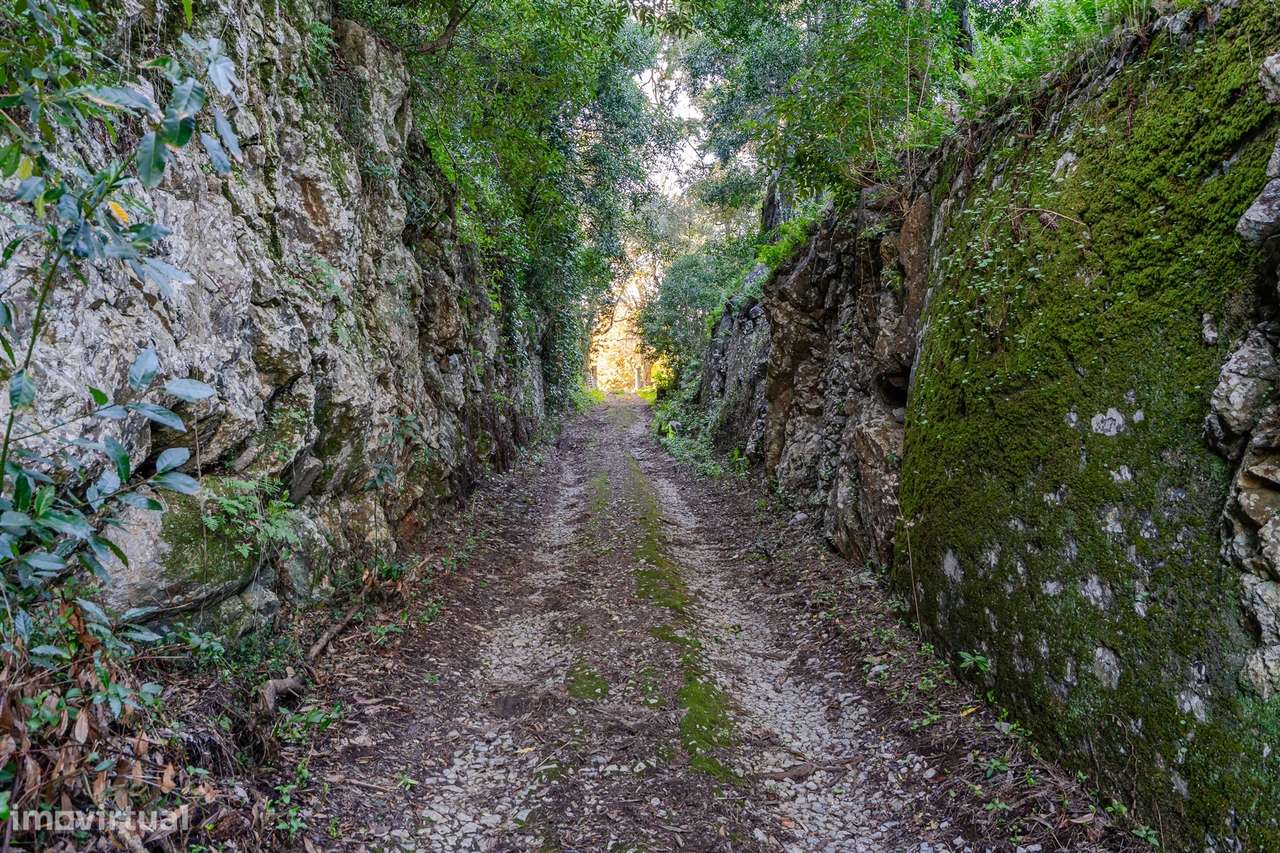 Quinta histórica no Centro de Sintra-44