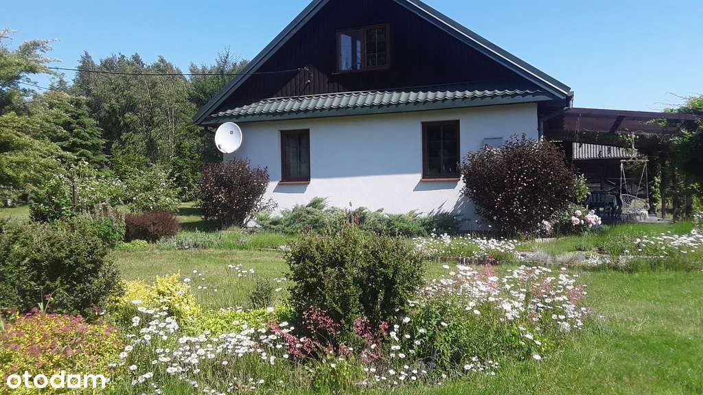 Siedlisko, staw, ogród, fotowoltaika, 7300 m²-8