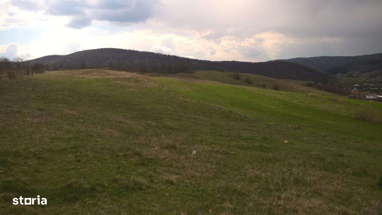 Vanzare teren Luncani, Bacau - Imagine principală: 3/12