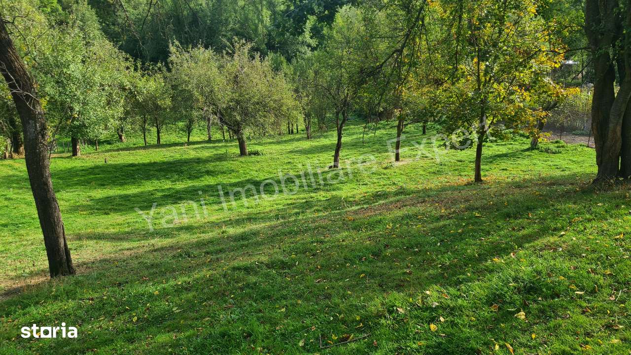 Teren de vânzare în comuna Arefu, județ Argeș.-8