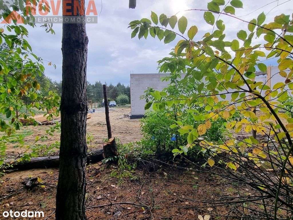 Ostrowina, działki wśród drzew - Pełny obrazek: 4/14