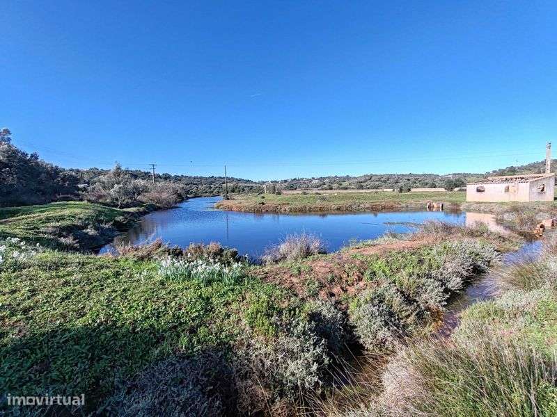 Herdade 29ha junto ao empreendimento Morgado do Arge - Grande imagem: 4/12