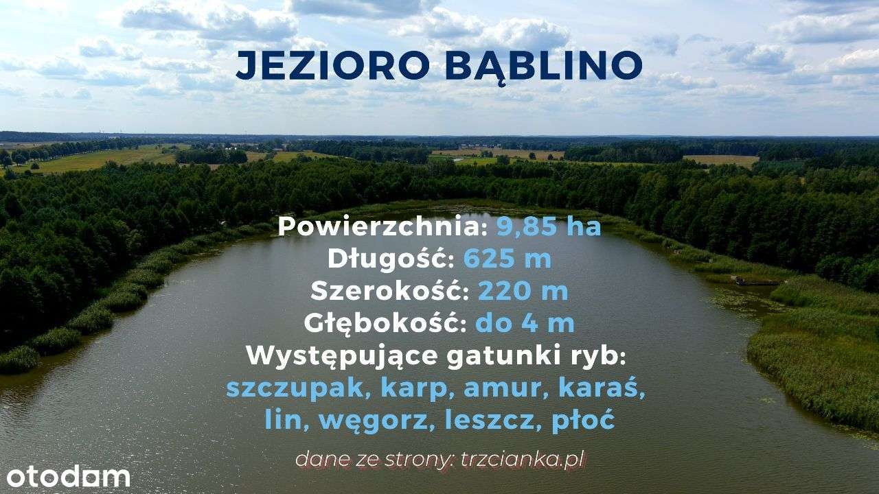 ENKLAWA prezentuje: JEZIORO + 6 minut od centrum! - Pełny obrazek: 2/12
