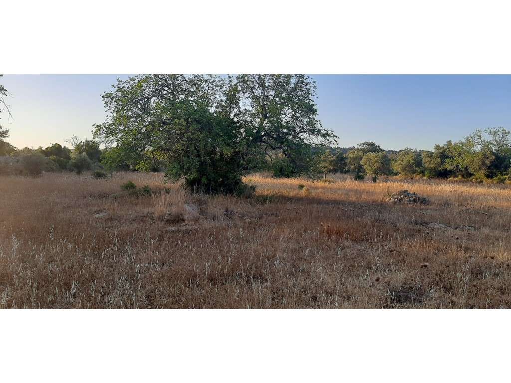 Terreno com projeto aprovado para Auto caravanismo em Cerro do Alpo... - Grande imagem: 5/23